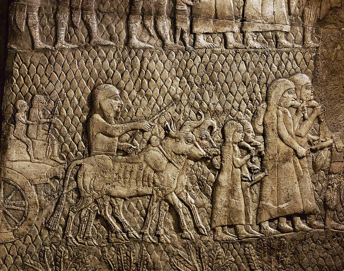 Nebuchadnezzar Again Besieges Jerusalem In 598 BC Mark And Jackie Photos Nebuchadnezzar Again Besieges Jerusalem In 598 BC Mark And Jackie Photos
